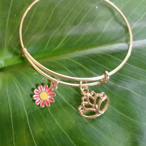 Expandable Charm Bracelets - Picture 14 of 16